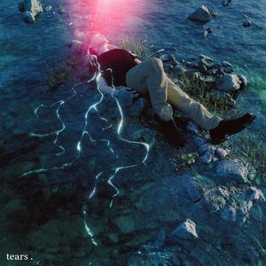 美国BBBBBBBBB毛毛
