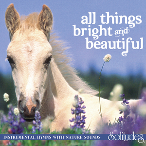 美国BBBBBBBBB毛毛
