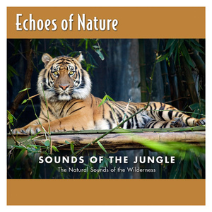 美国BBBBBBBBB毛毛
